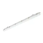 Philips LED Feuchtraumleuchte Ledinaire WT065C 30/53W 4100/6800lm - 840 Kaltweiß | 150cm - Durchgangsverdrahtung